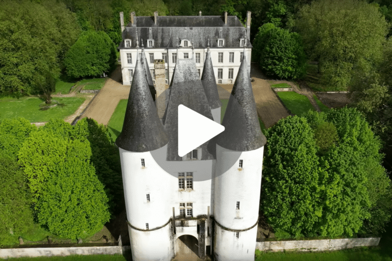 Château avec toits coniques entouré d'arbres verdoyants.