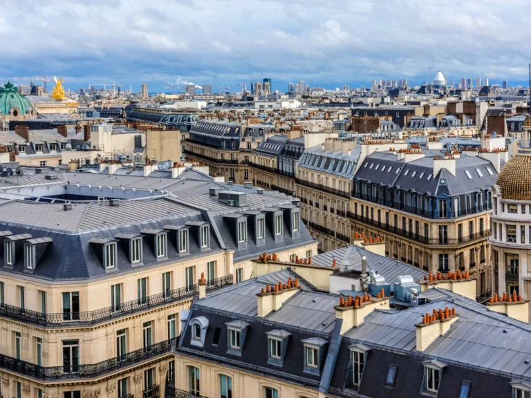 Toits parisiens avec architecture classique et skyline.
