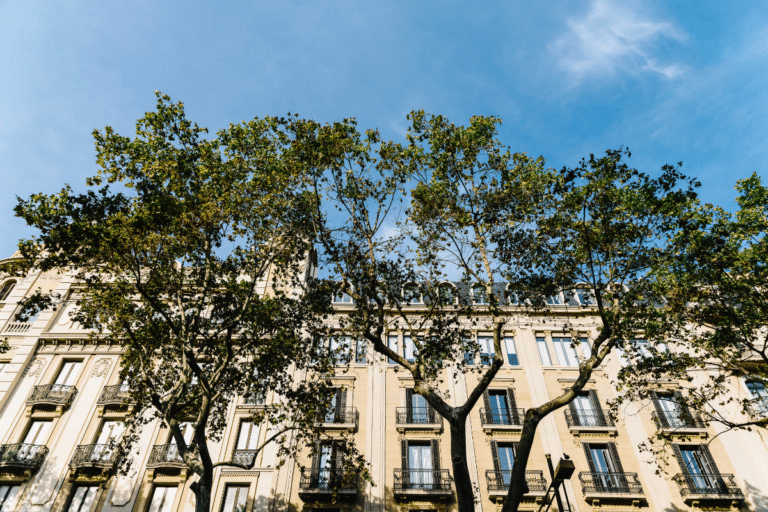 Balcon avec arbres sous un ciel bleu.