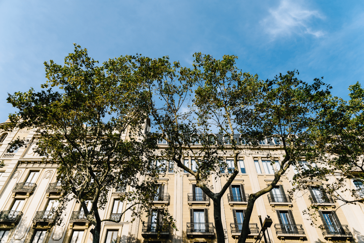 Balcon avec arbres sous un ciel bleu.
