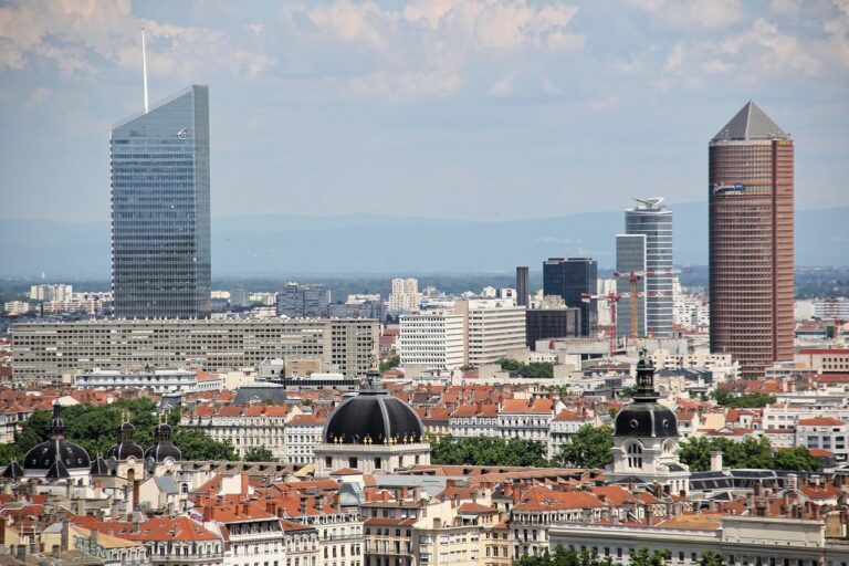 Vue panoramique de Lyon avec bâtiments modernes et toits colorés.